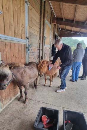 emeis clos benedictins equitherapie