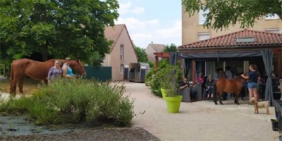 Les Amaltides equestre