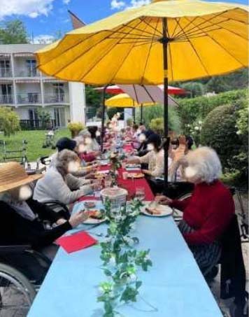emeis mimosas mai