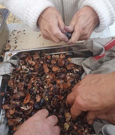 emeis lavandines marrons