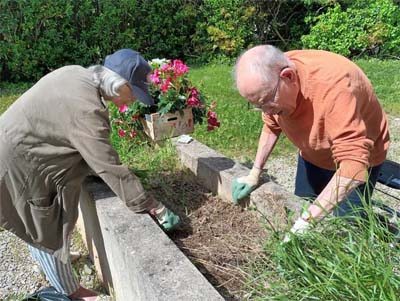 emeis bois joli jardinage