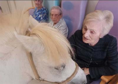 emeis bois joli poney