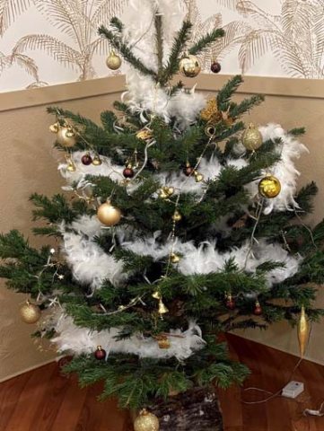 emeis maison bleue deco