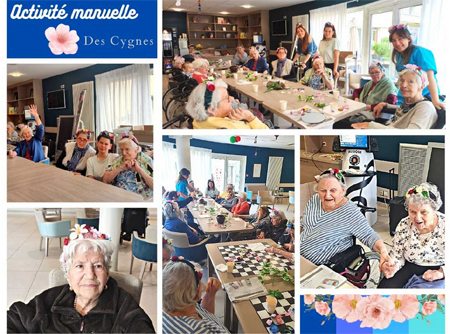 les cygnes activites