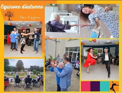 les cygnes equinoxe
