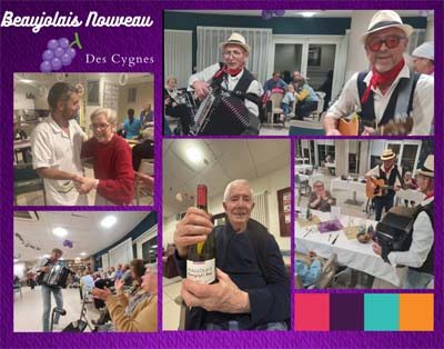 emeis cygnes beaujolais emeis cygnes beaujolais