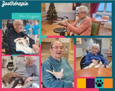 emeis cygnes zootherapie