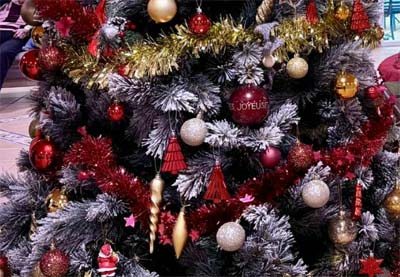 emeis jardins de jeanne decembre