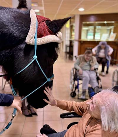 emeis jardins de jeanne juments