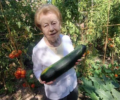 emeis jardins de grasse potager