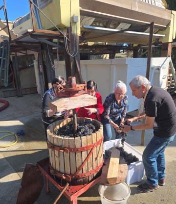 emeis carmableu vendanges