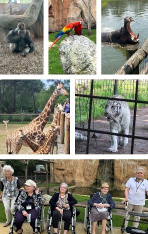 les magnolias zoo