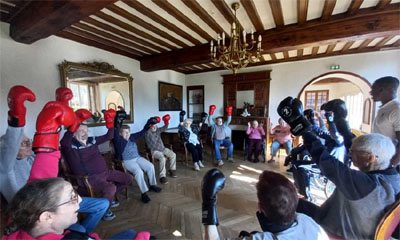 emeis chateau de villeniard boxe