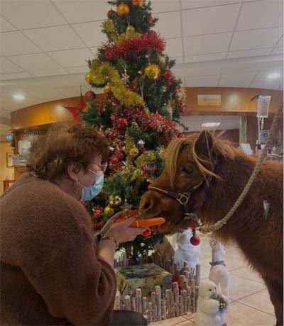 les jardins de charlotte animale