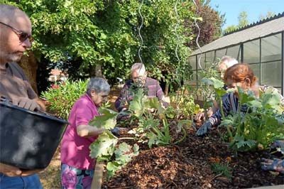 emeis jardins de charlotte atelier