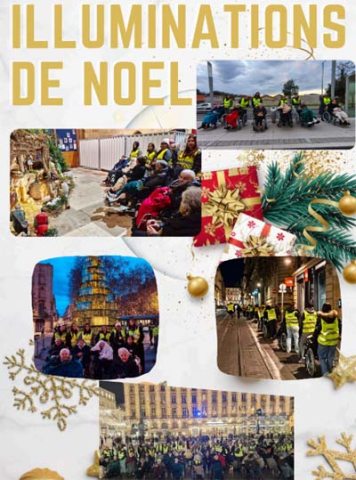 emeis chardons bleus illuminations