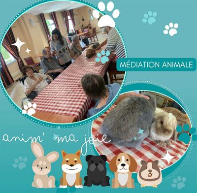 les oliviers animale
