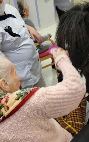 chateau nodet equitherapie