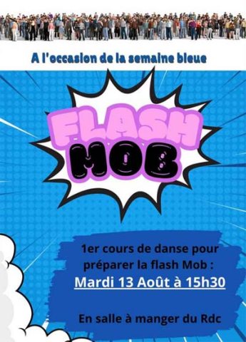 chateau nodet flash