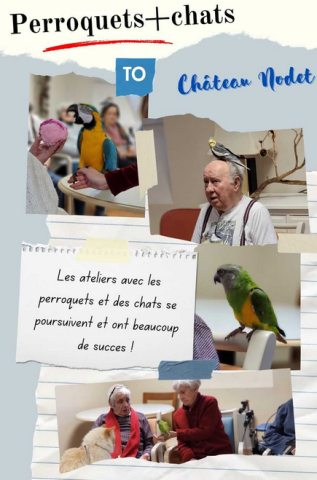 chateau nodet perroquets