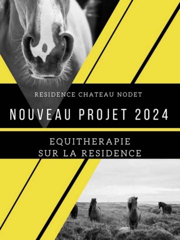 chateau nodet projet