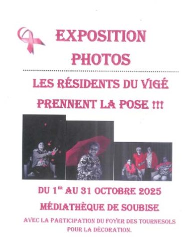 emeis le vige rose