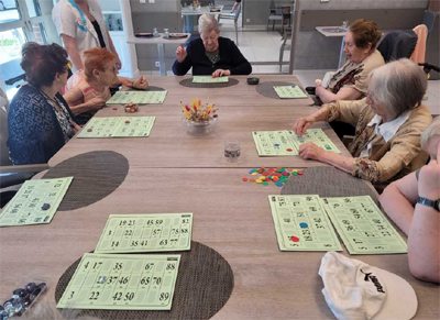 le trefle d'argent chance