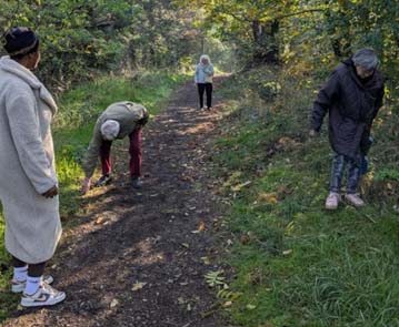 emeis renouard chataignes