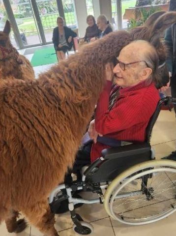 René Le Gros lamas