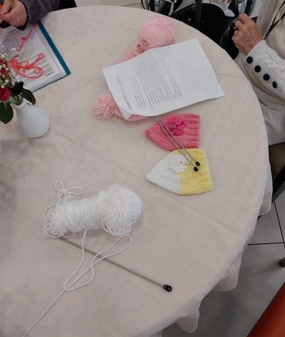 les jardins de pauline tricot