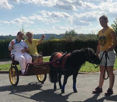 les millesimes cheval