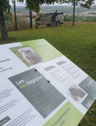 les millesimes ecomouton