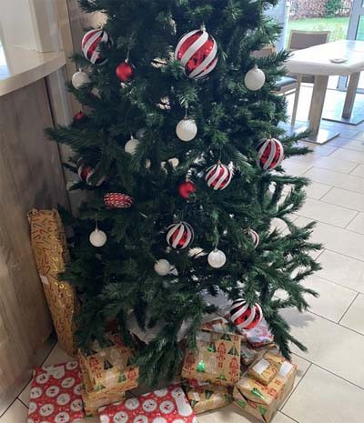 emeis cheneraie enfants