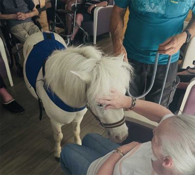 emeis cheneraie poney