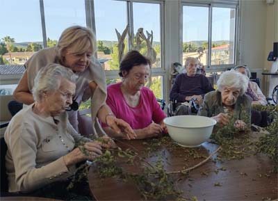 emeis les alizes automne