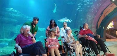 les vignes de suresnes aquarium