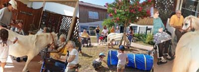 emeis jardins ombeline poney