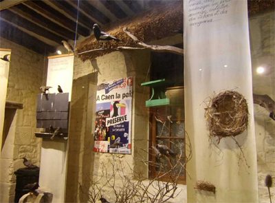 Les Rives Saint Nicolas musee