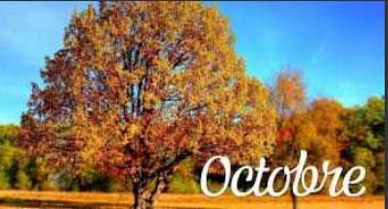 emeis la garenne octobre