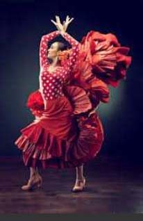 emeis senatorerie flamenco