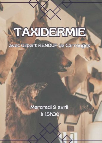 emeis senatorerie taxidermie