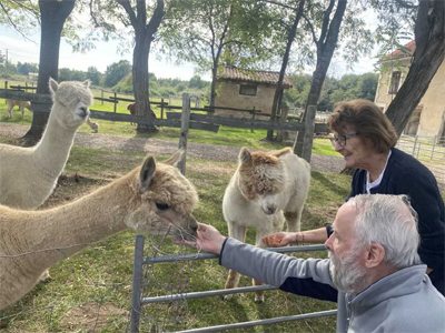 Le verger d'Anna lama