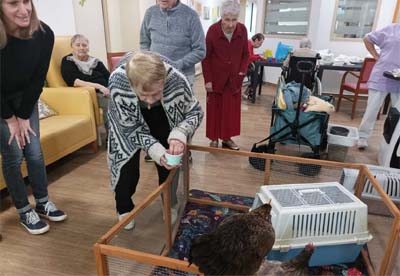 Le verger d'Anna mediation