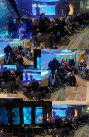 klarene aquarium