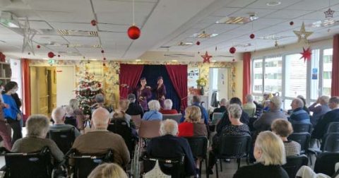 emeis ile de nantes spectacle