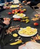 emeis cliscouet atelier emeis cliscouet atelier