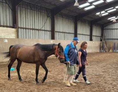la reine des près equitherapie