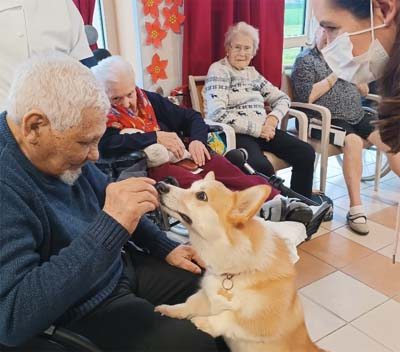 emeis europe animale