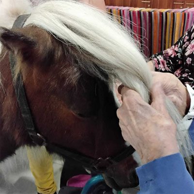 emeis saint joseph equitherapie