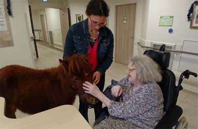 emeis saint joseph poney